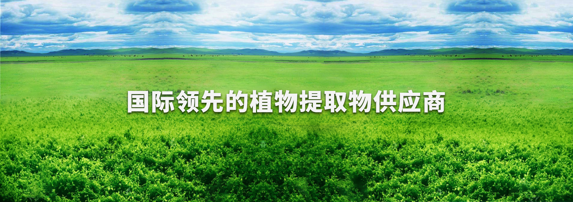 yh533388银河(中国)股份有限公司-官方网站